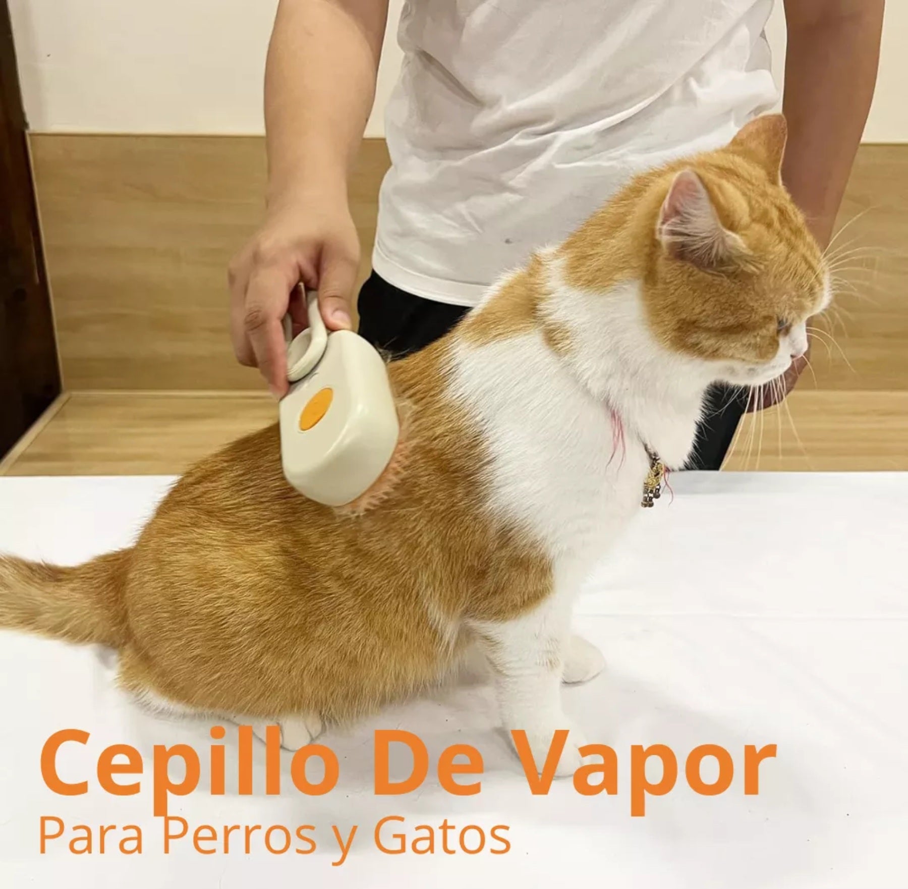 Cepillo Para Mascotas A Vapor Recargable